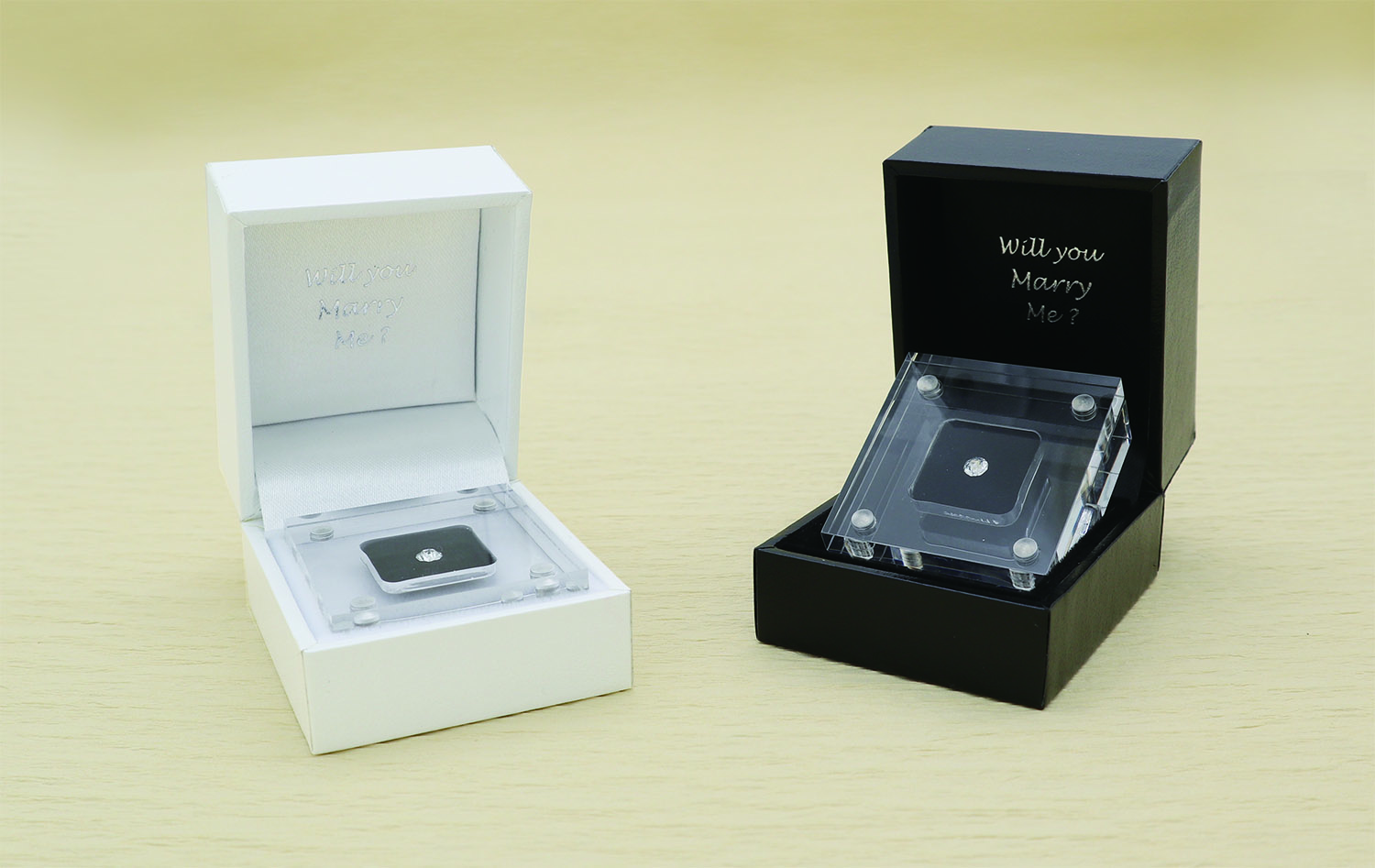ルースプロポーズケース (Will you marry me?)